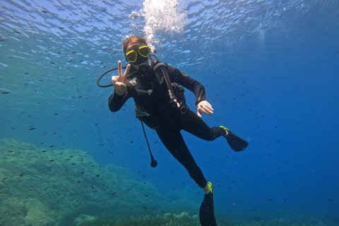 First Scuba Diving Experience in Calvi (From 8 yo) Calvi: Discover Scuba Diving