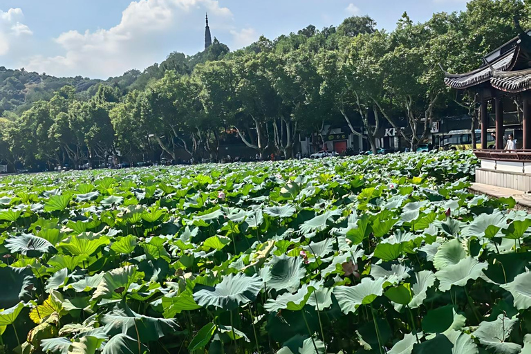 From Shanghai: One-Day Hangzhou Longjing Village Niche Tour