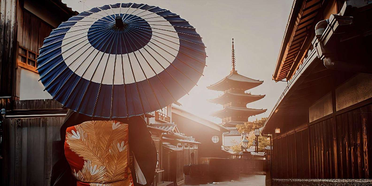 Kyoto experience — temples, geisha, bamboo grove — image 18