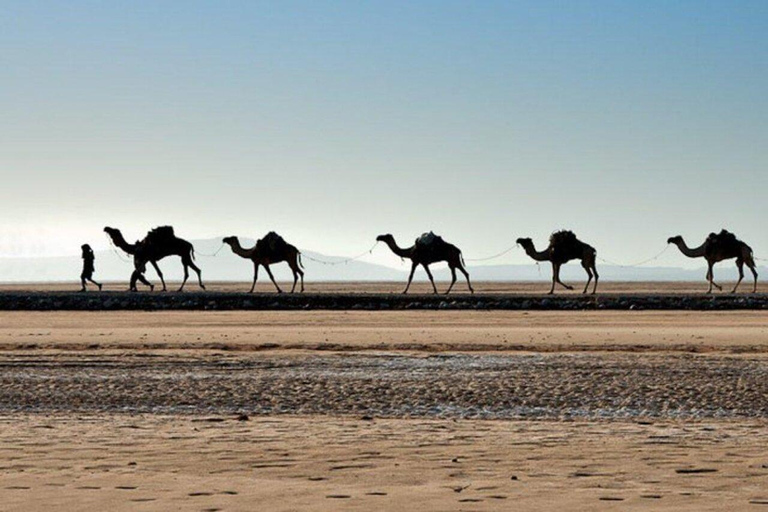 From Addis Ababa: 5-Day Lalibela and Danakil Depression Tour