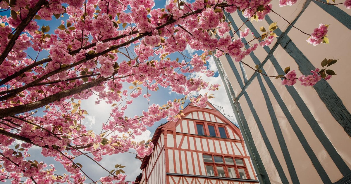 Ruán: Visita guiada de 2 horas por los lugares de interés ...