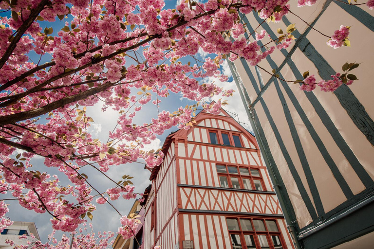 Die OFFIZIELLE Rouen-Tour: Die 2-Stunden-SehenswürdigkeitenStar Attractions zweistündige Tour