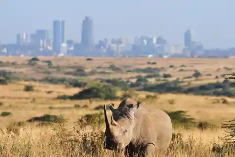 Nairobi: Parco Nazionale e tour del centro perle