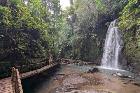 Ubud: Monkey Forest, Water Temple, Rice Terrace & Waterfall Ubud Full Day Tour 8-12 hours