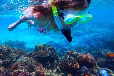 Catalina Island Catamaran Cruise with Lunch from Bayahibe