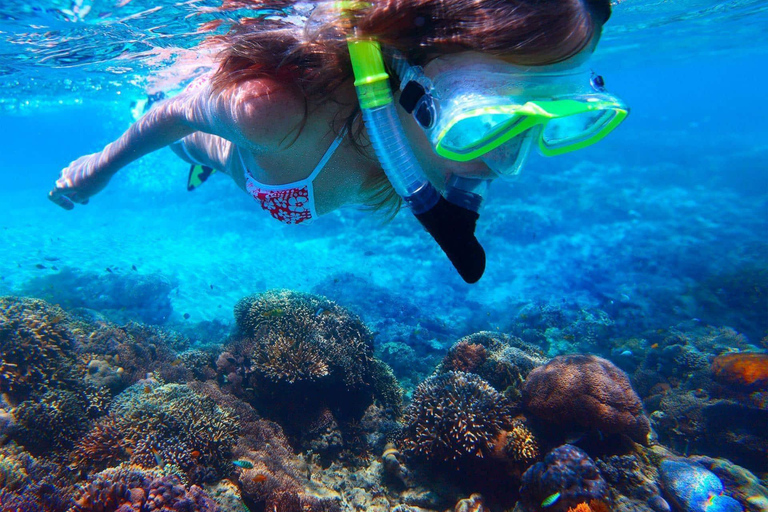 Catalina Island Catamaran Cruise with Lunch from Bayahibe