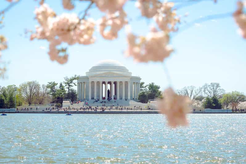 Cerezos en flor y monumentos con entrada al Monumento a Washington