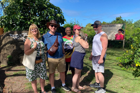 St. Kitts: Panoramic Full Island Tour with Lunch and Beach