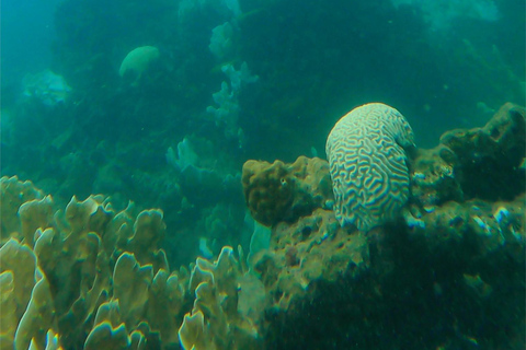 Playa Cristal Sightseeing Tour by Speedboat, Tayrona Park