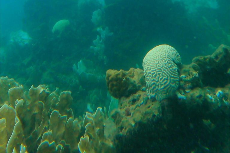 Playa Cristal Sightseeing Tour by Speedboat, Tayrona Park