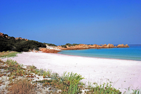 Da Santa Teresa Gallura: tour in motonave a La Maddalena From Santa Teresa Gallura