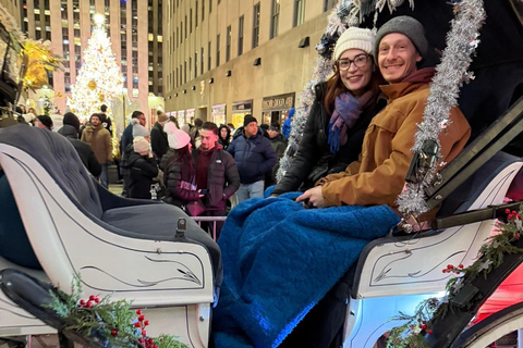 NYC: Central Park Christmas Lights Horse-Drawn Carriage Ride