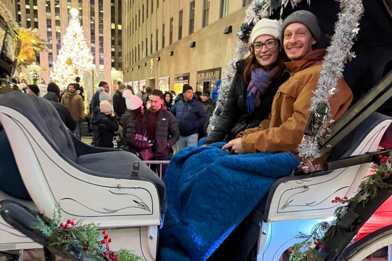 NYC: Central Park Christmas Lights Horse-Drawn Carriage Ride