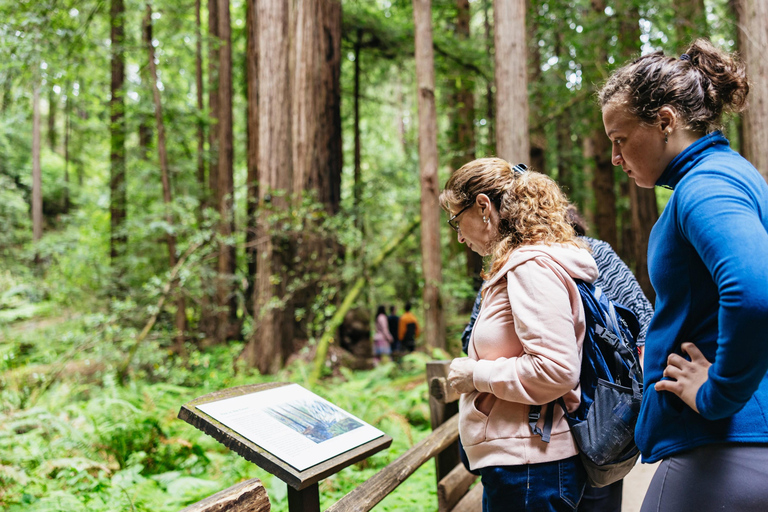 Stadsrondleiding San Francisco + Muir Woods en SausalitoSan Francisco Grand City Tour + Muir Woods en Sausalito