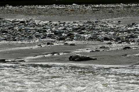 2 Days 1 Night in Corcovado Sirena From Drake Bay