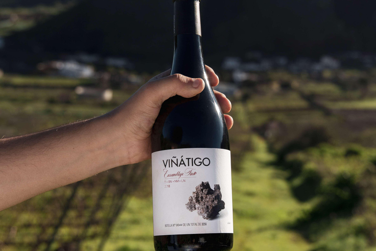 Tenerife: Guided tour with tasting of 6 wines