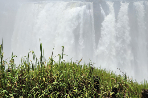 Victoria Falls: Private Guided Tour with Local guide