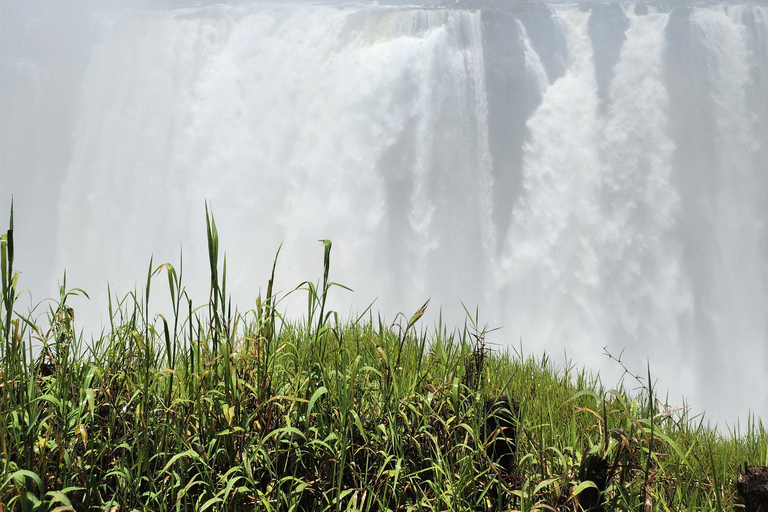 Victoria Falls: Private Guided Tour with Local guide