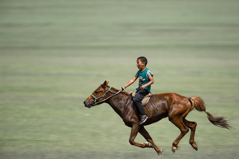 Zanzibar: Swimming with Horses and Ride in Ocean