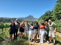 Desde Ciudad del Cabo, Stellenbosch Four Estate Tour de vino de día completo - Hizvo