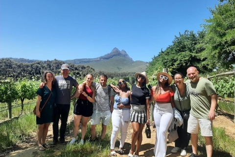 Z Kapsztadu: całodniowa wycieczka po winnicach Stellenbosch Five Estate