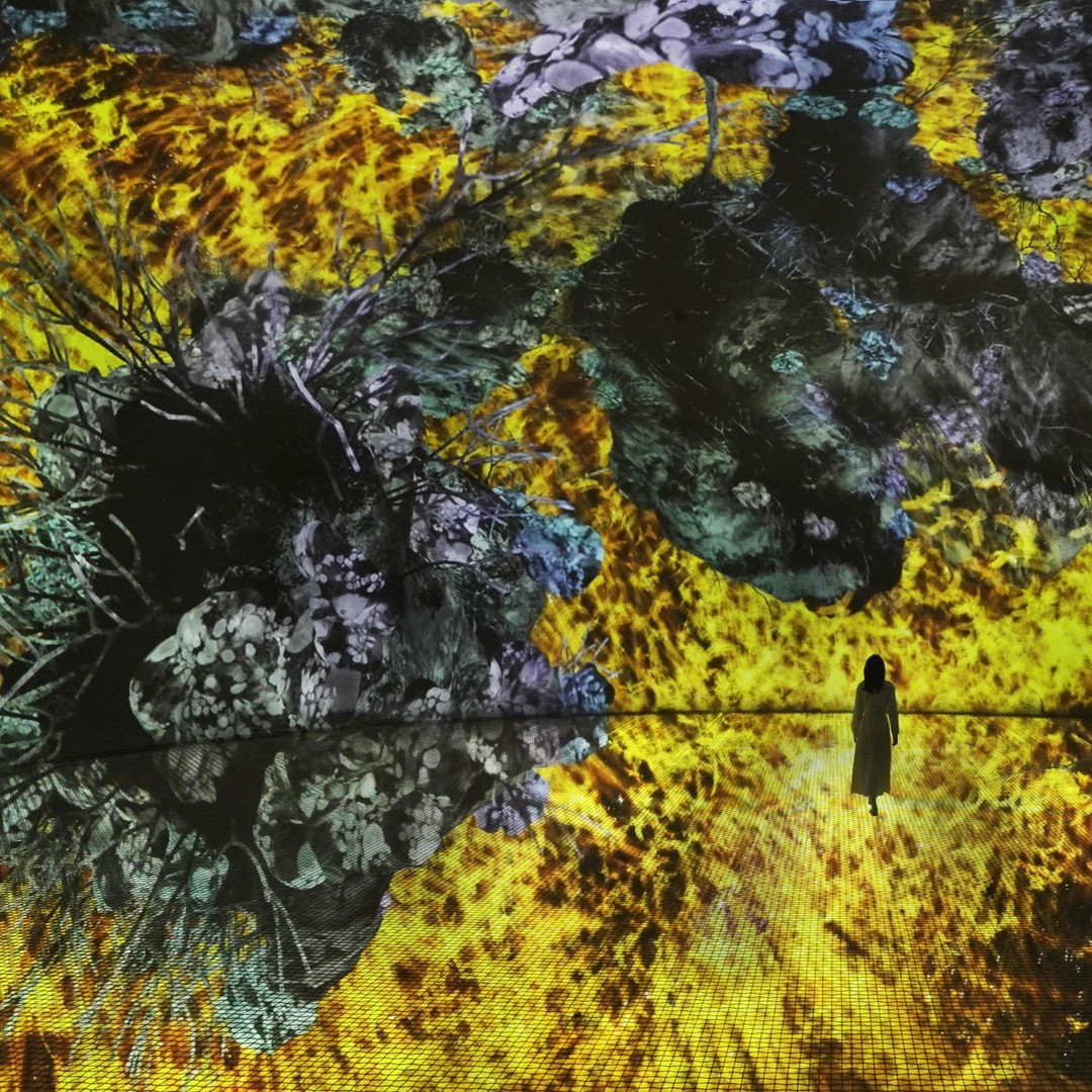 Media collage