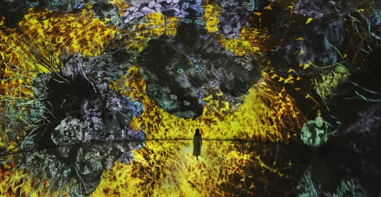 Abu Dhabi: teamLab Phenomena Entry Ticket photo 9