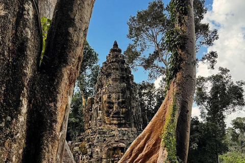 Siem Reap: Angkor 1 day Group Tour with Italian guide Small Group Tour in Italian