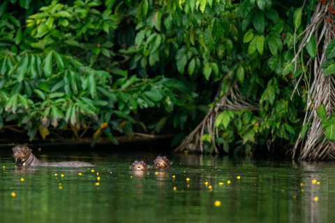 AMAZONENTOUR MANU CULTUREEL GEBIED 3D - 2N