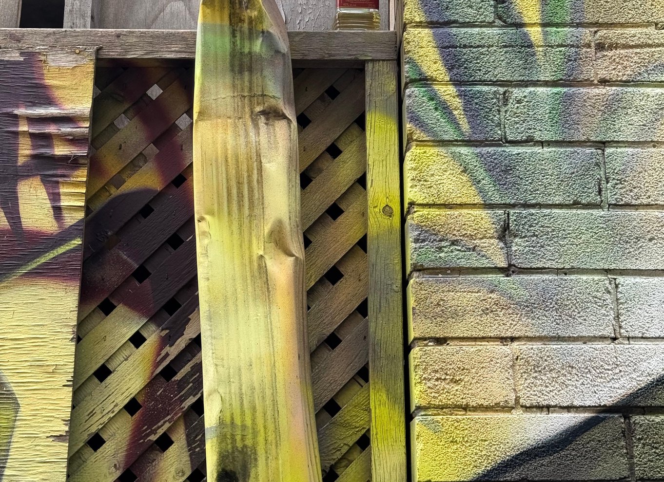 Toronto: Street Art og Graffiti Tour arrangeret af gadekunstner