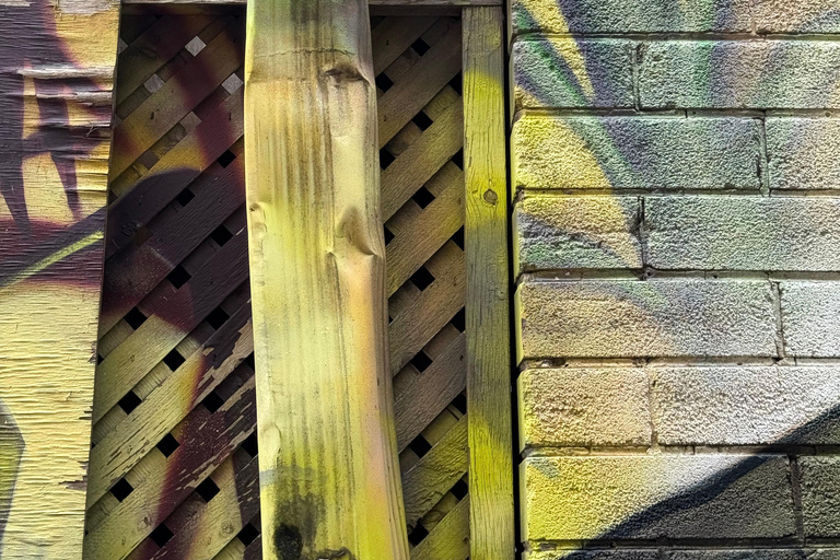 Toronto: Street Art and Graffiti Tour Run by Street Artist