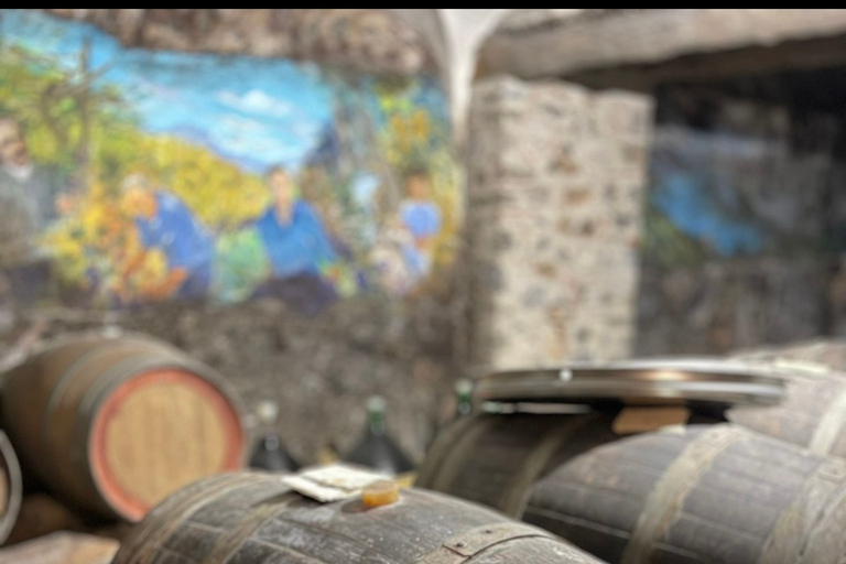 Wybrzeże Amalfi/ Zrób domowy makaron i tiramisu