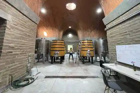 San Miguel de Allende : Un voyage à travers les vignobles