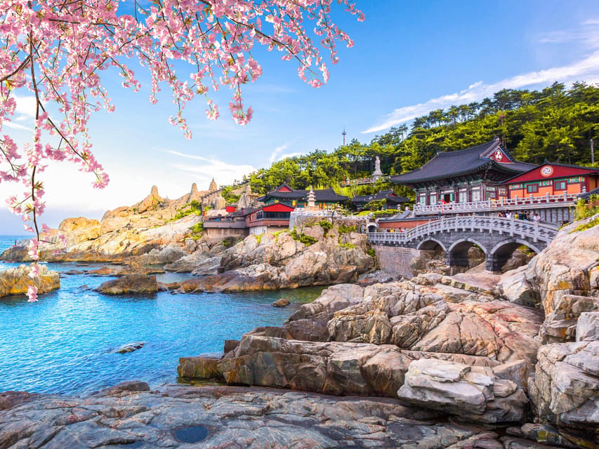 Top Attractions Authentic One-Day Guided Tour