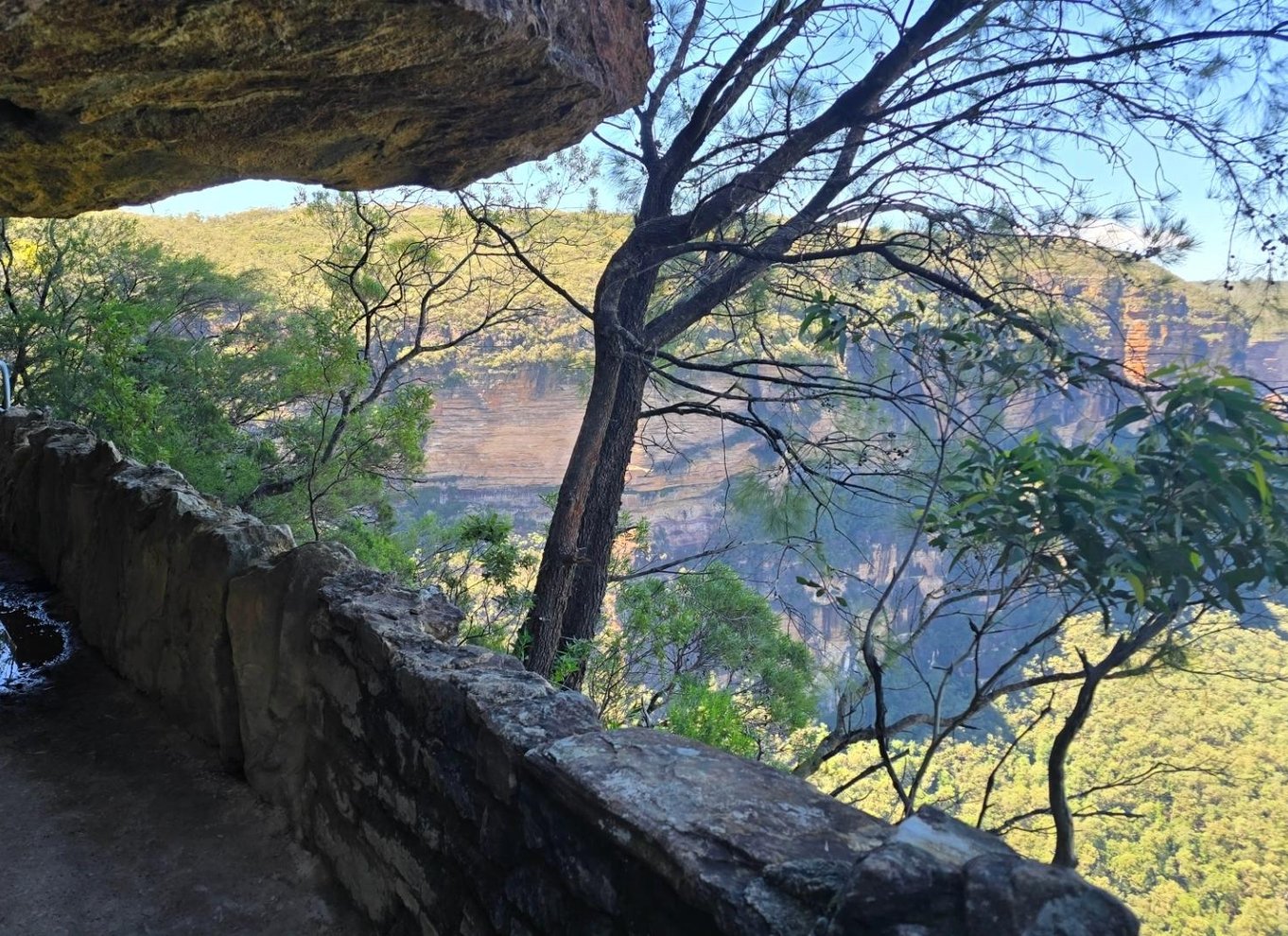 Fra Sydney: Blue Mountains-tur med vandfaldsvandring og frokost