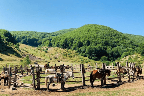 Skopje : Tetovo, Mavrovo, Galicnik et John Bigorski - Excursion d'une journéeSkopje : excursion d'une journée à Tetovo, Mavrovo, Galicnik et John Bigorski