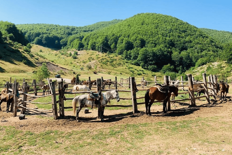 Skopje : Tetovo, Mavrovo, Galicnik et John Bigorski - Excursion d'une journéeSkopje : excursion d'une journée à Tetovo, Mavrovo, Galicnik et John Bigorski