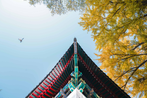 Pekin: Wycieczka piesza z przewodnikiem po kampusie Uniwersytetu Pekińskiego