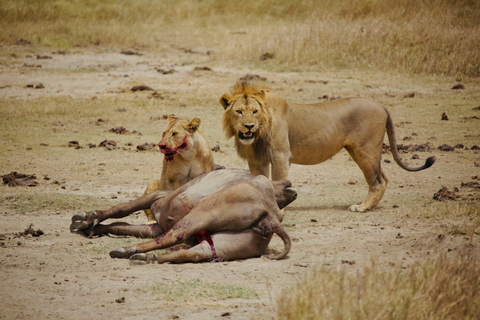 Tanzania: 5-Day Tarangire, Serengeti, & Ngorongoro Tour