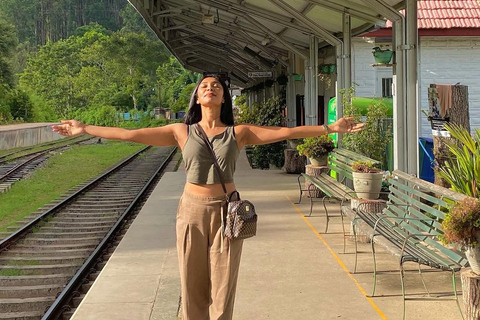 Kandy To Ella Private Transfer With Train Ride Hidden Stops