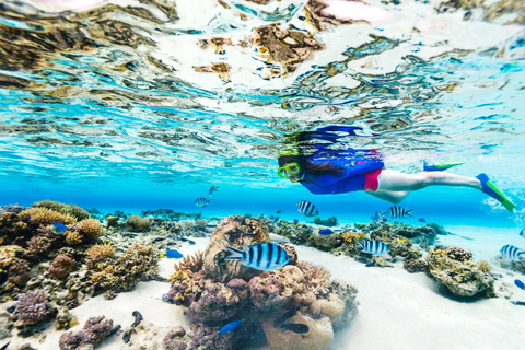 Phuket: Excursão de snorkeling às ilhas Coral, Racha e Maiton