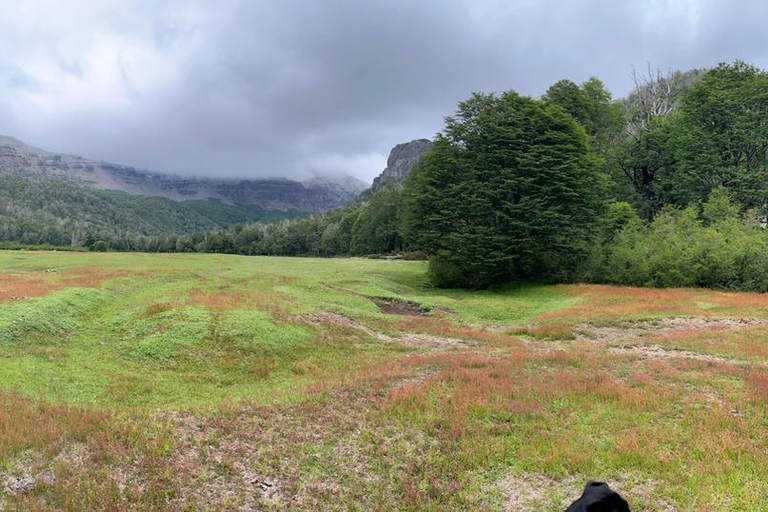 San Martín de los Andes: a 4x4 guided tour to the Mallin