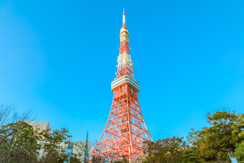 Wycieczka 1-dniowa do Tokio! Spersonalizowana prywatna wycieczka z przewodnikiem-ekspertem7-godzinna wycieczka