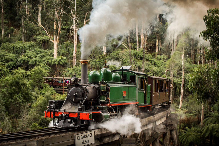 Melbourne : Train à vapeur Puffing Billy et visite de la parade des pingouins