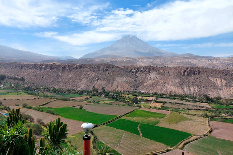Arequipa: Santa Catalina Tour, Camelid View, and Chilina Valley Arequipa: Santa Catalina Tour, Camelid Viewing, and Chilina Valley