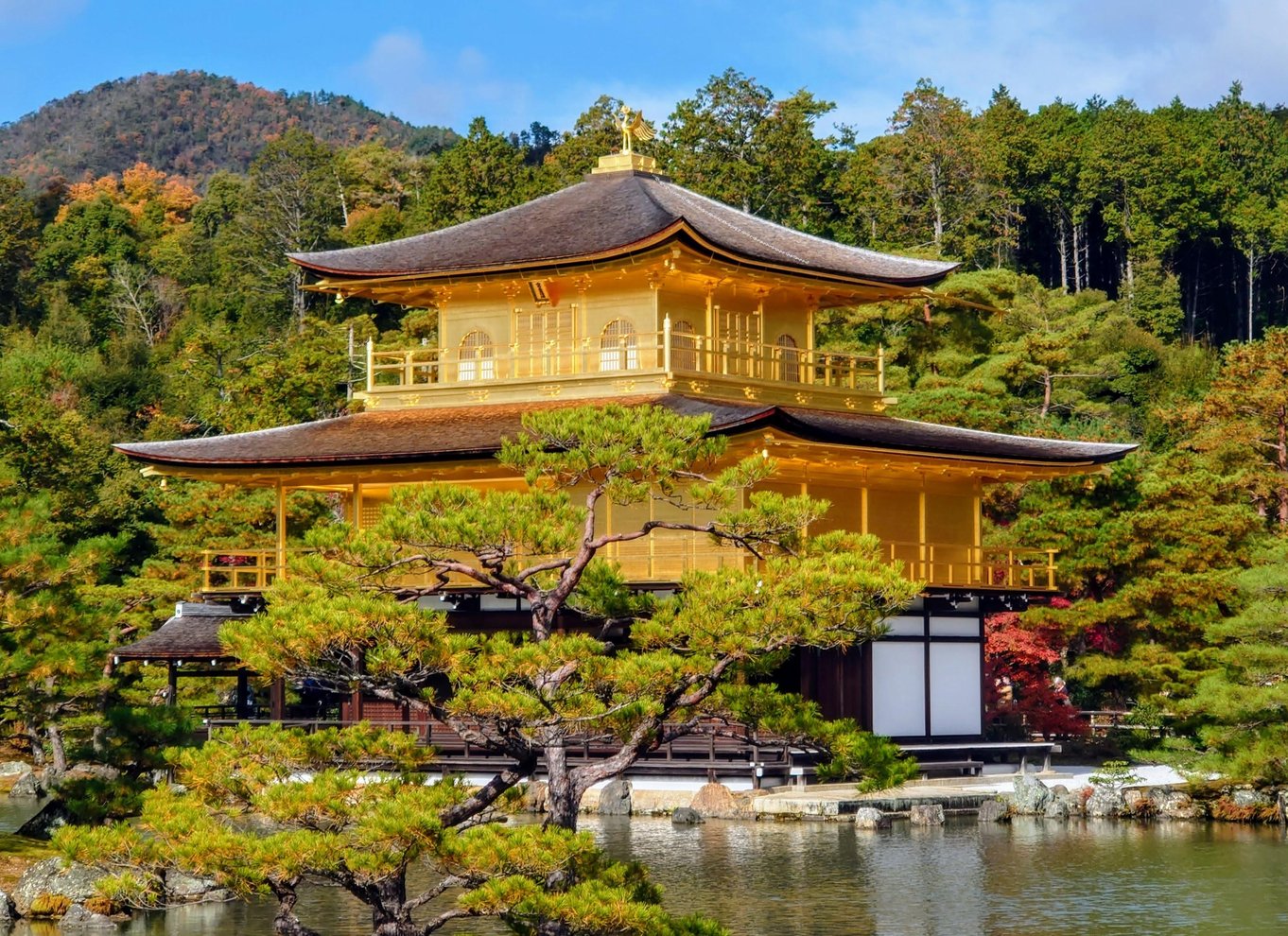 Kyoto: Heldagstur med de bedste UNESCO- og historiske steder