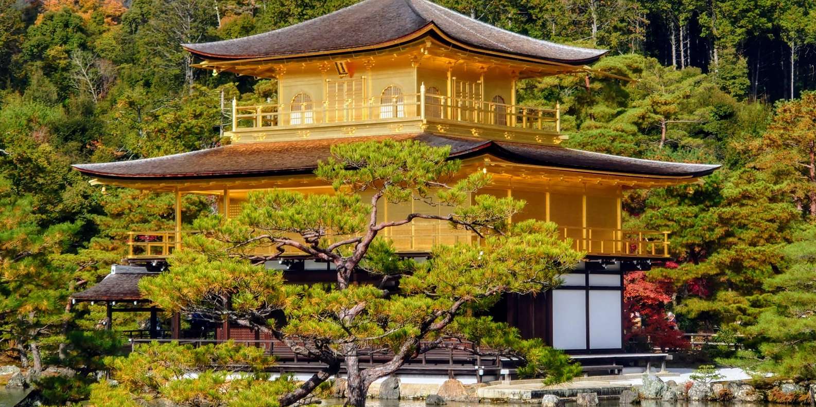 Kyoto experience — temples, geisha, bamboo grove — image 13