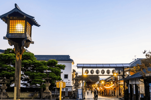 ناغانو: جولة خاصة في ضريح توجاكوشي، ساكي وزينكوجيالاستلام من مدينة ناغانو والمناطق المجاورة