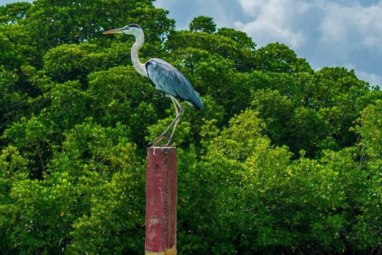Negombo: Privé stadstour met aanpasbaar reisschemaNegombo: Privé Stadstour Premium