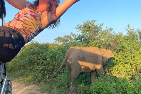 Desde Tangalle: Safari por el Parque Nacional de Yala con bajada: EllaSafari matinal de 4 horas